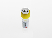 dNTPs（2.5mM each）-PR101