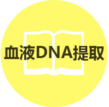 产品选择指南：血液DNA提取